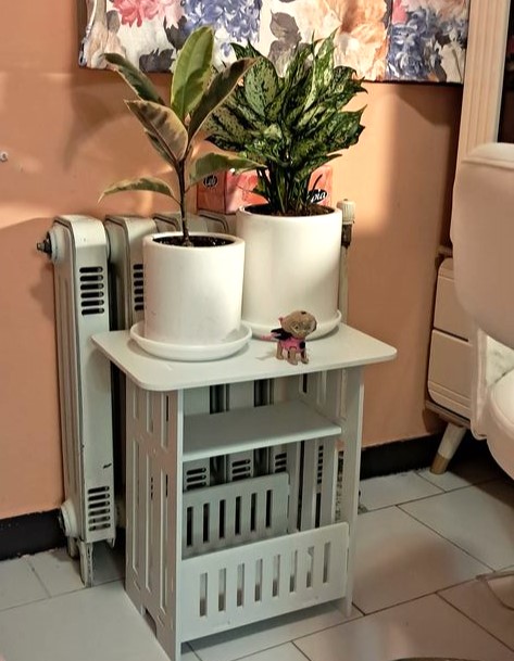 624223c66ab9e37d7b149c3957370df9495c6656_1723054596